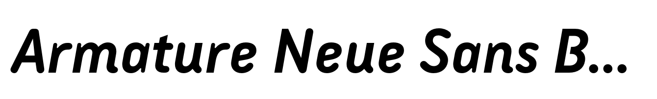 Armature Neue Sans Bold Italic